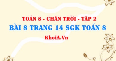 Bài 8 trang 14 Toán 8 Chân trời sáng tạo Tập 2